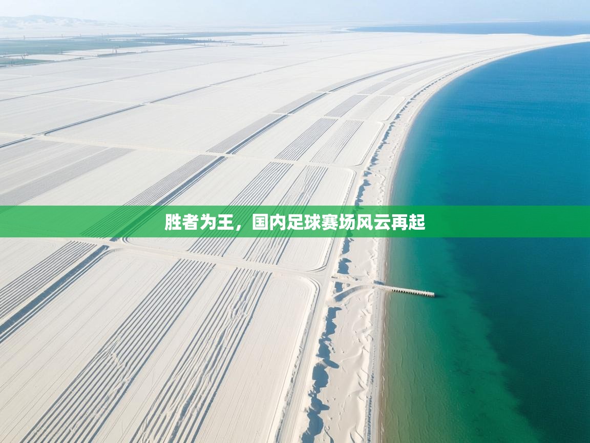 胜者为王,国内足球赛场风云再起 第1张