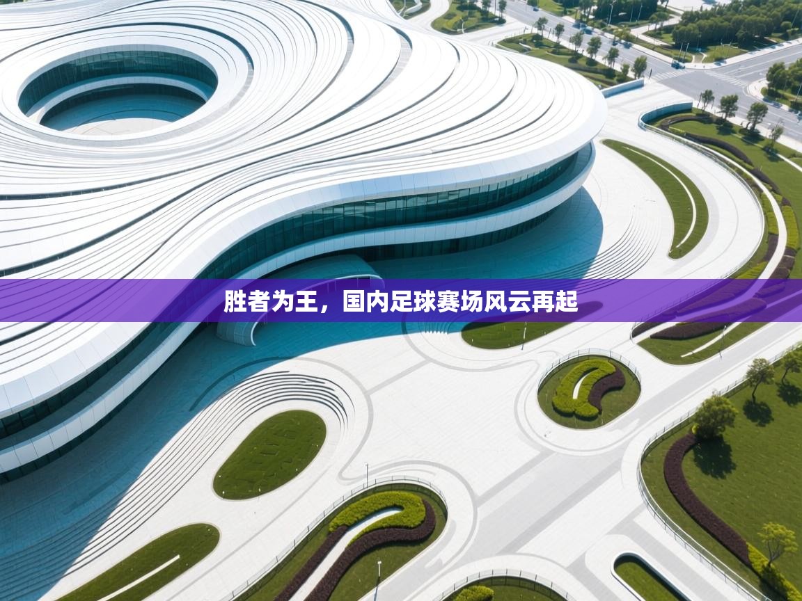 胜者为王,国内足球赛场风云再起 第2张