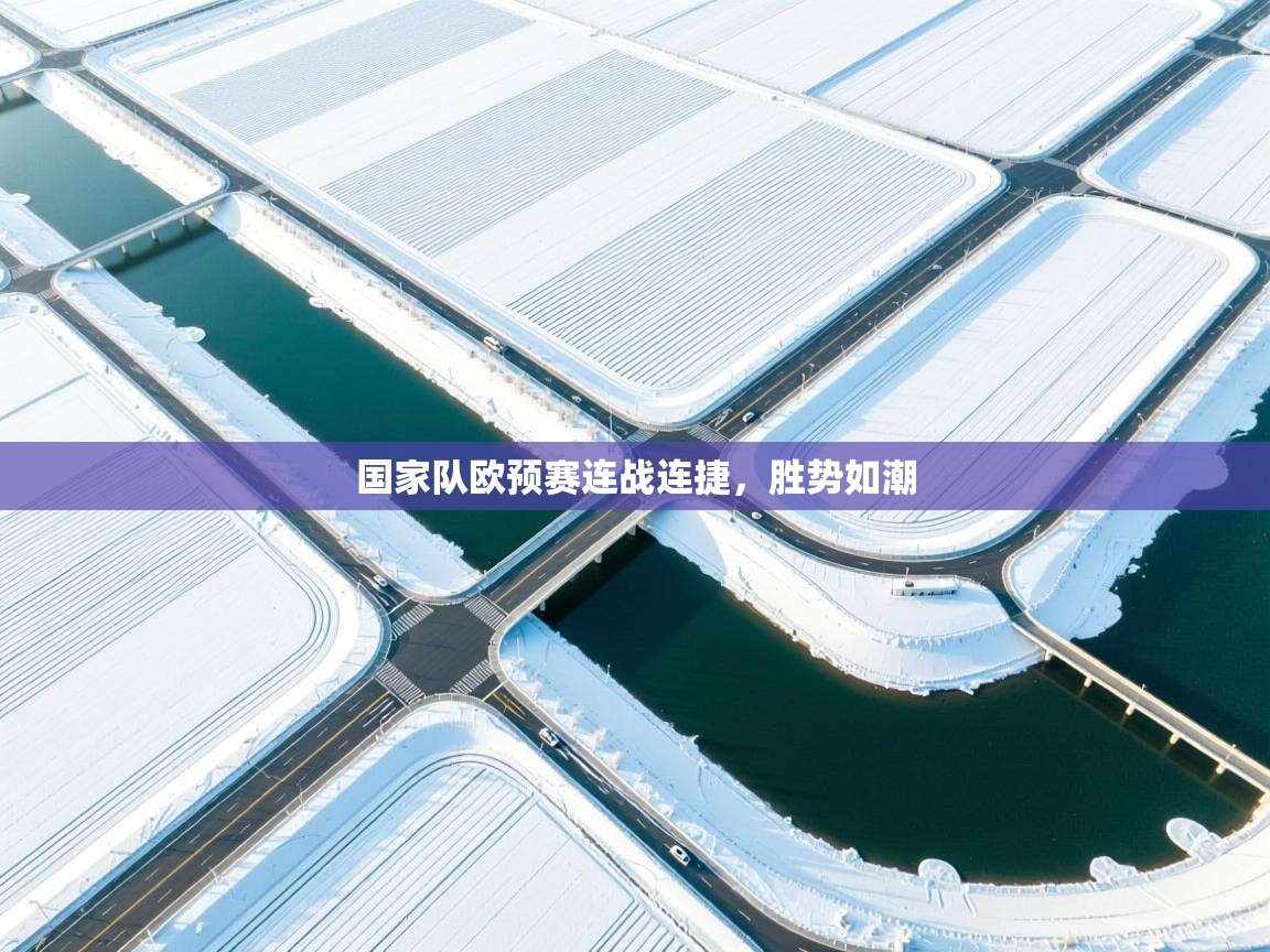 国家队欧预赛连战连捷，胜势如潮  第1张