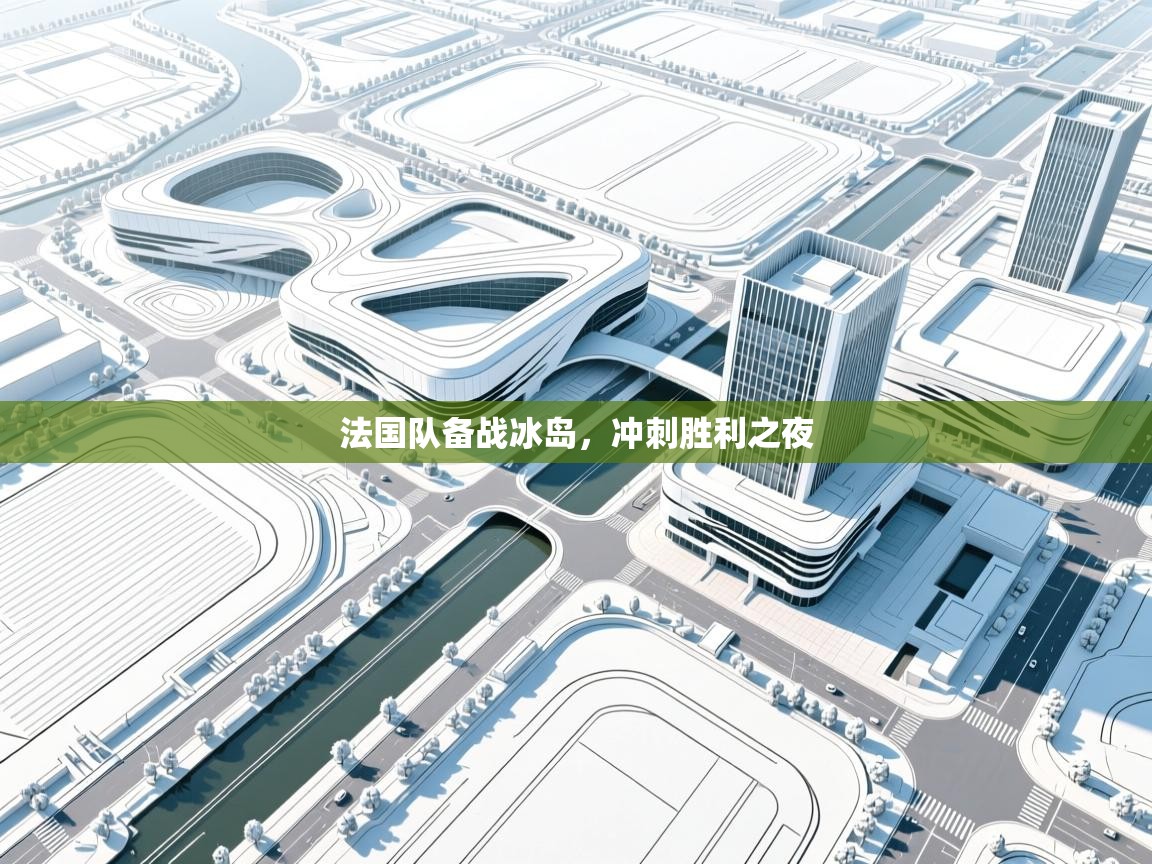 法国队备战冰岛，冲刺胜利之夜  第1张