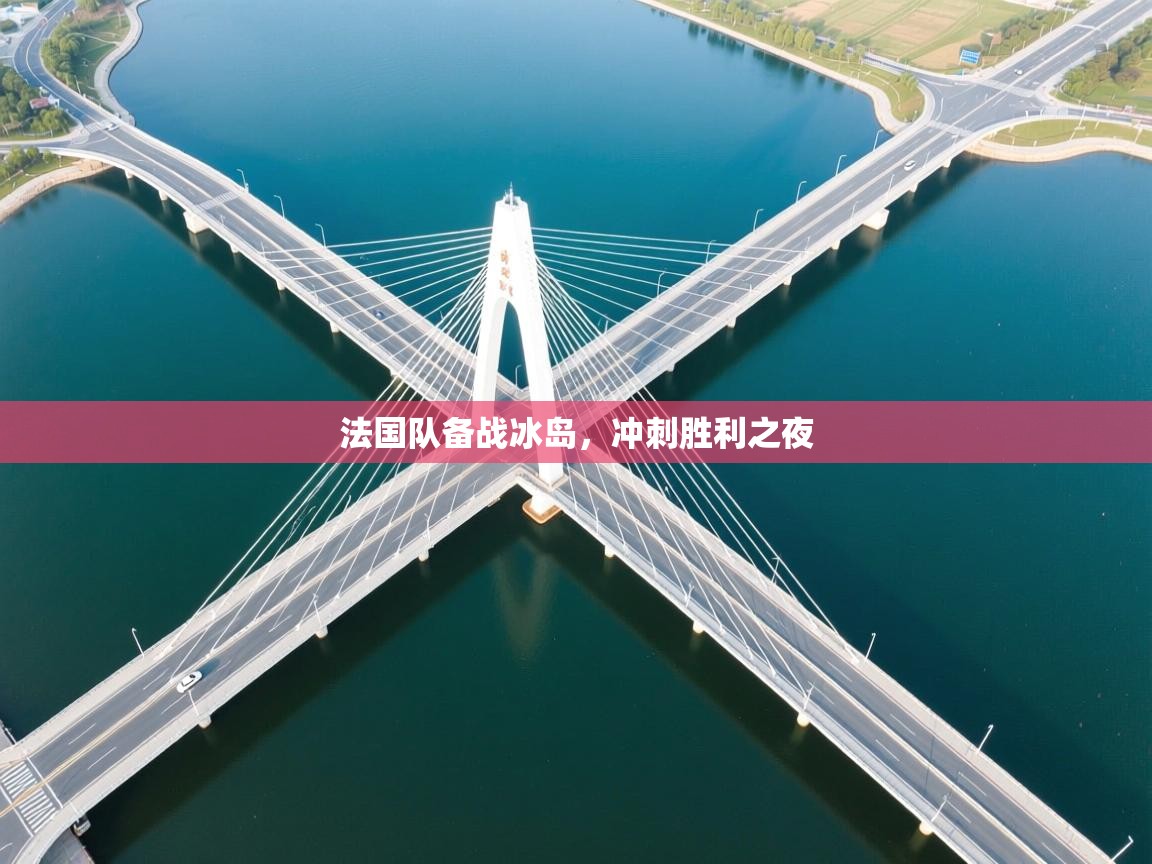 法国队备战冰岛，冲刺胜利之夜  第2张