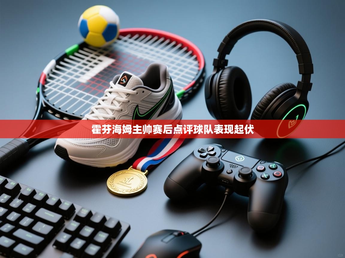 霍芬海姆主帅赛后点评球队表现起伏